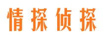 七星外遇调查取证